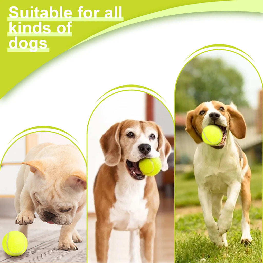 Automatic Dog Ball Launcher