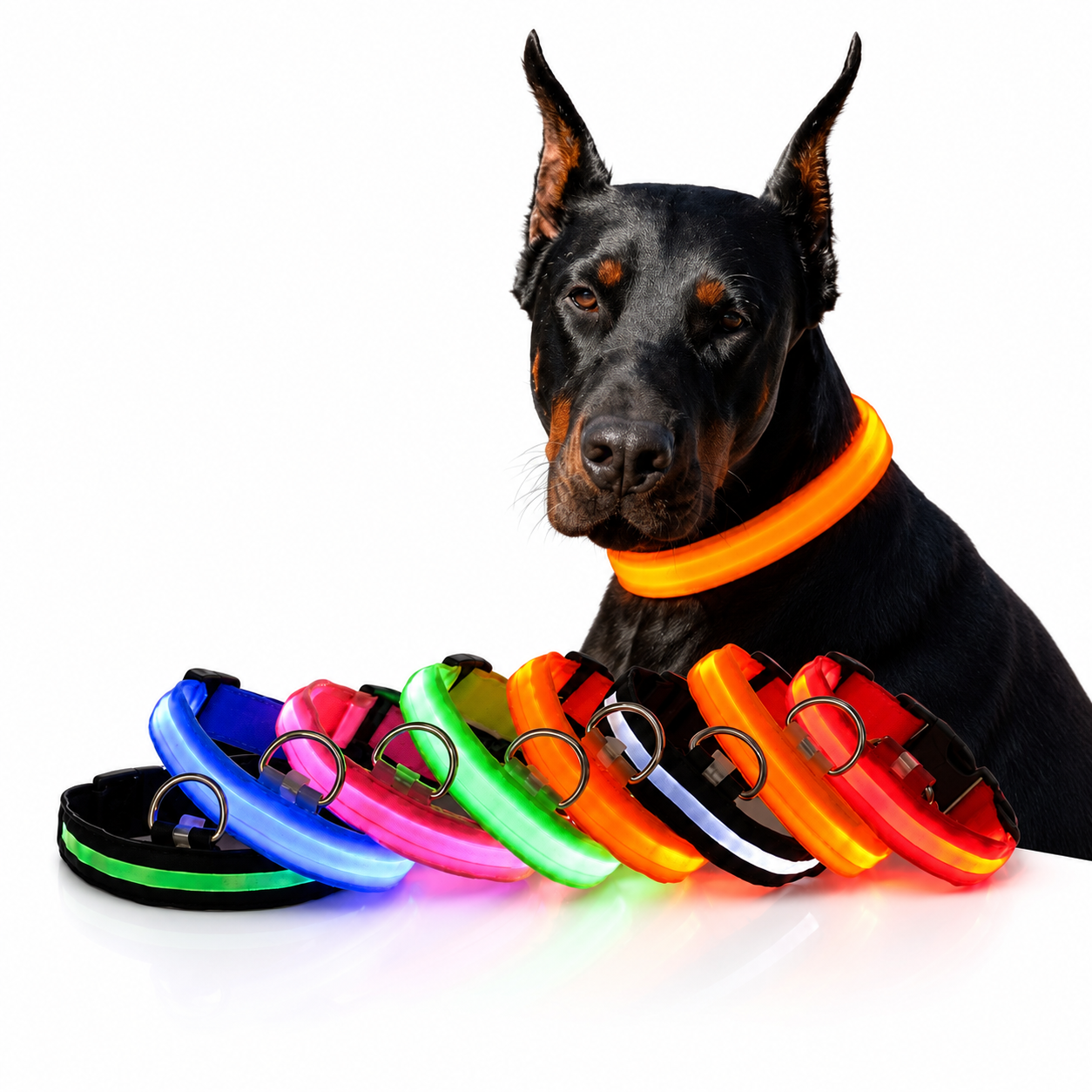 LED Dog Leash