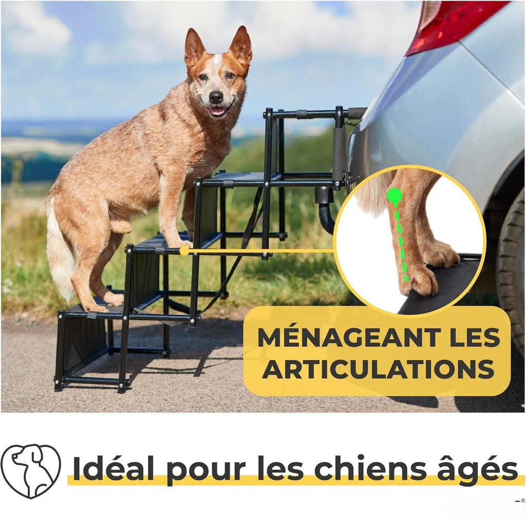 Foldable Dog Car Ramp & Staircase