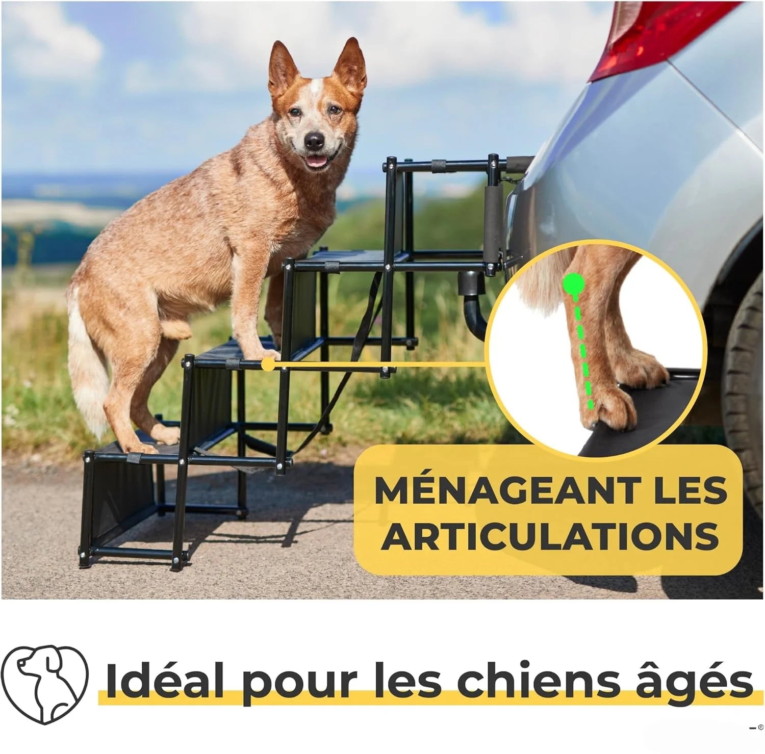 Foldable Dog Car Ramp & Staircase