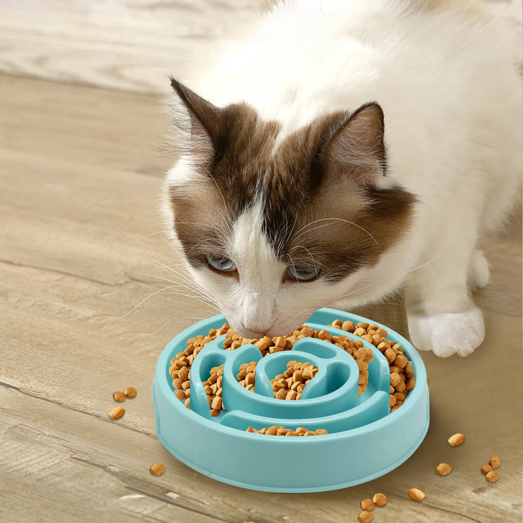 Slow Feeder Dog Bowl