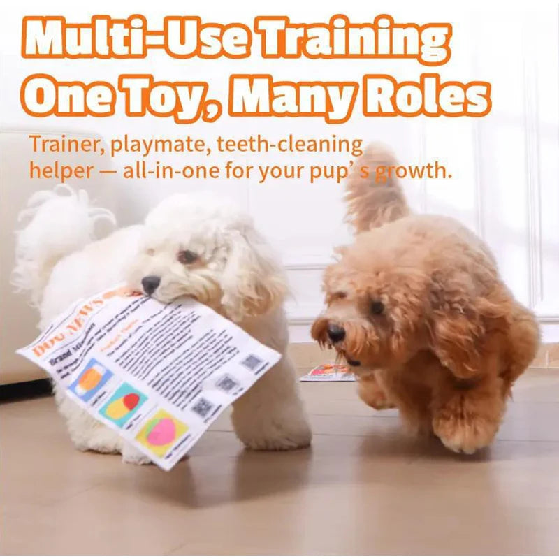 Newspaper Crinkle Squeaky Dog Toy