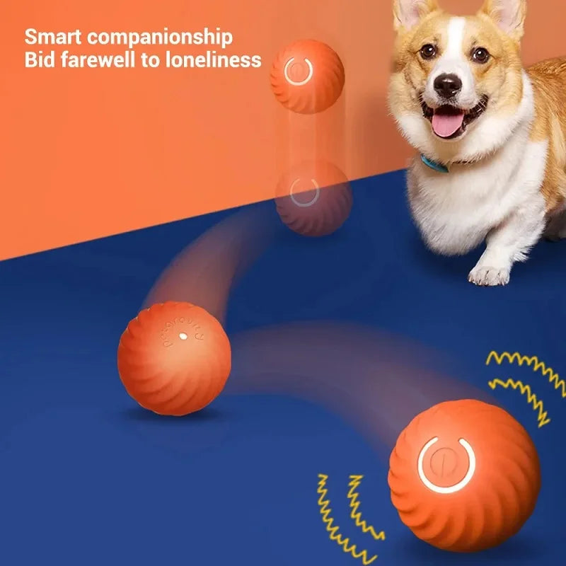Interactive Moving Dog Ball