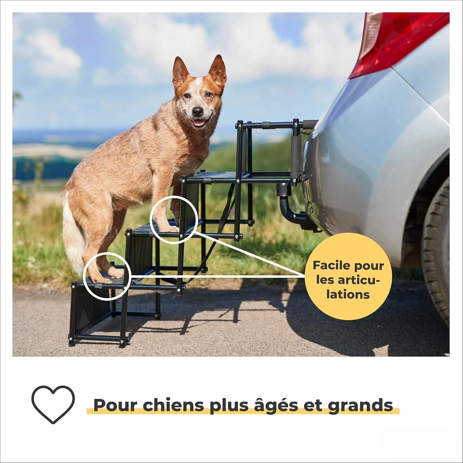 Foldable Dog Car Ramp & Staircase