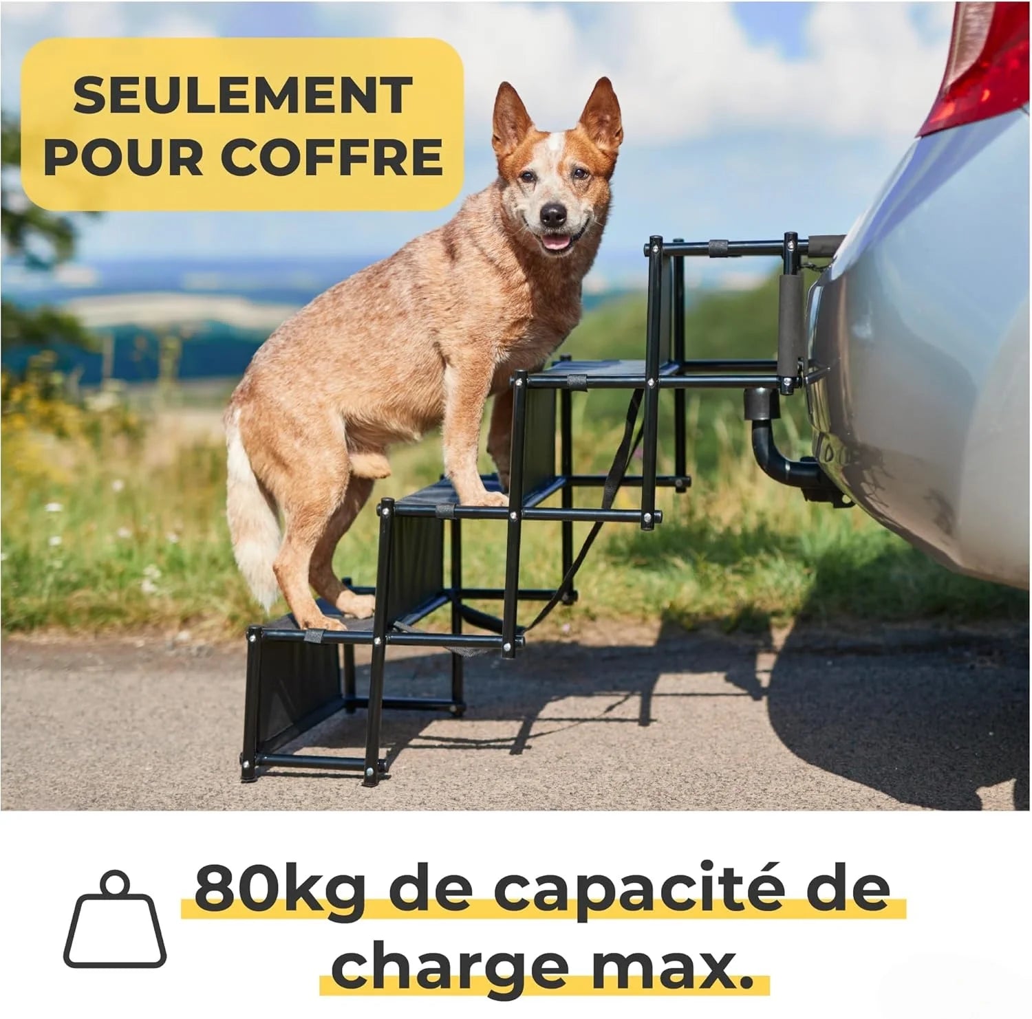 Foldable Dog Car Ramp & Staircase