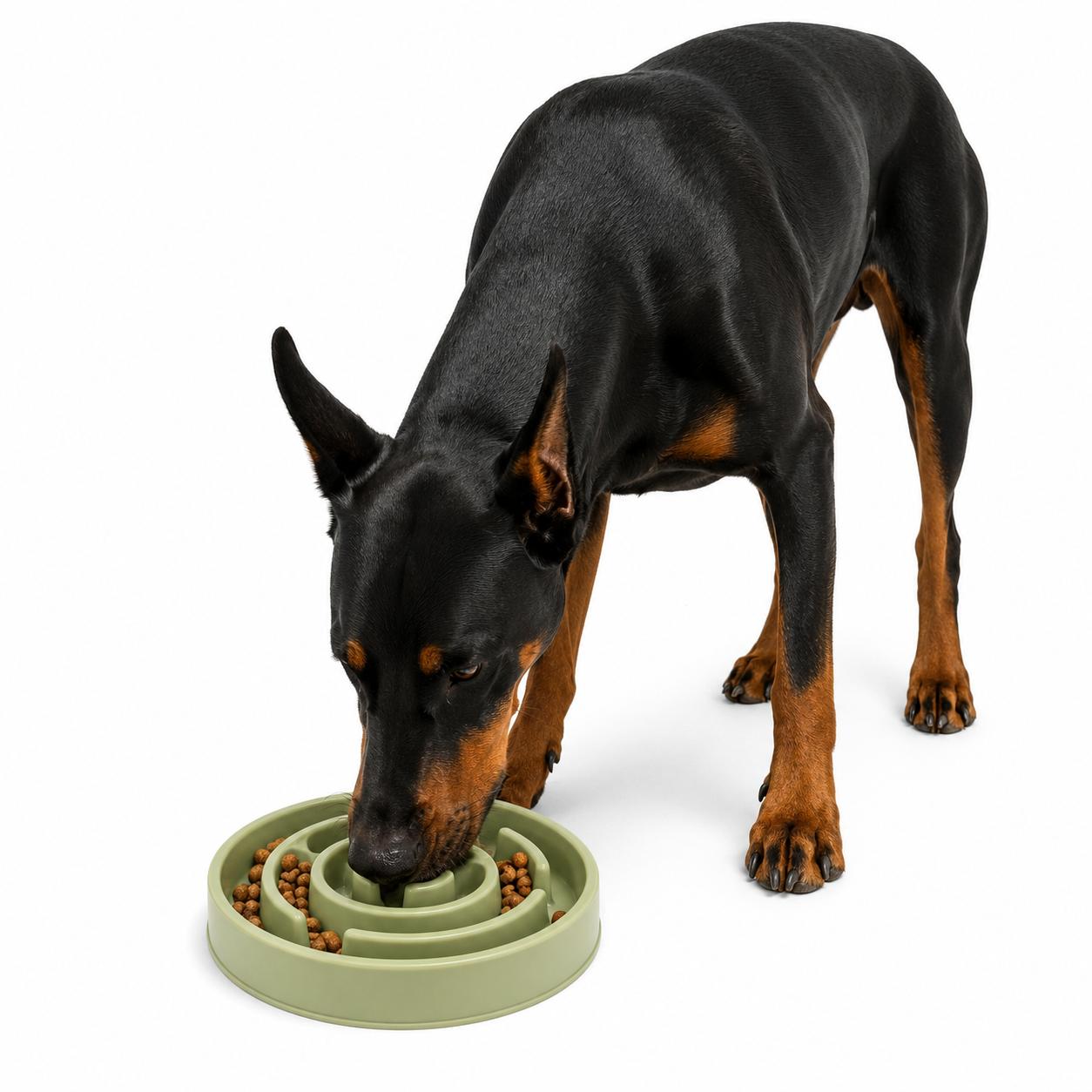 Slow Feeder Dog Bowl